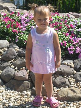 IMG_0081