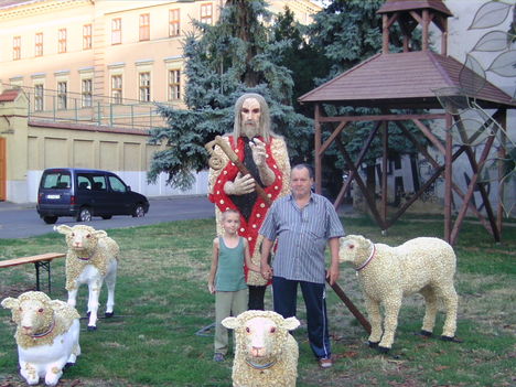 Márkó - Papa és bárányok