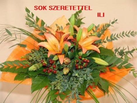 Sok szeretettel Ili