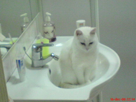 DSC03009