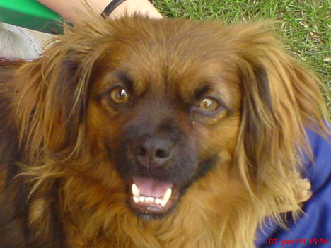 DSC04026