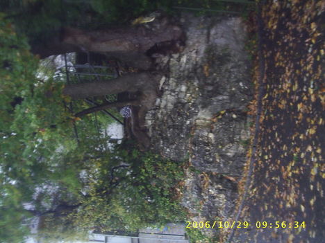 Párizs (33)