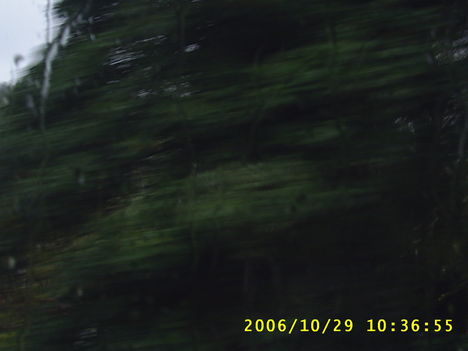 Párizs (81)
