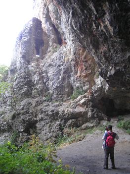 P1010860