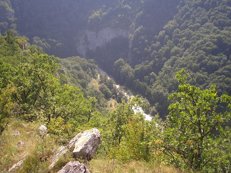 P1010965