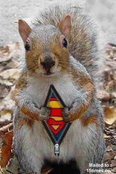 super_squirrel