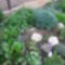 vegyes 149