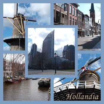 Hollandia