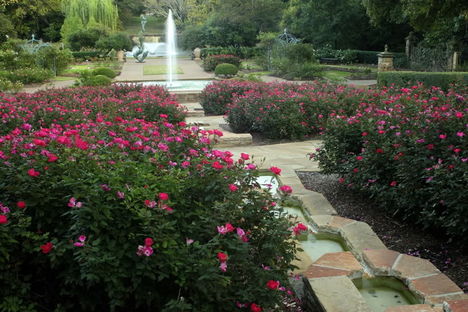 4094783291_19RoseGardenRunnels