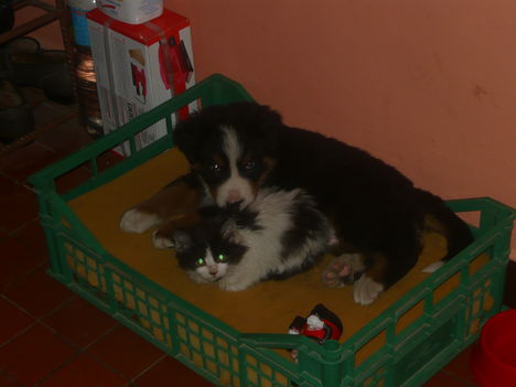 P1000580