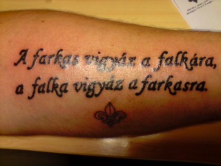 A farkas..