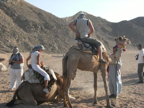 Egyiptom 2009 538