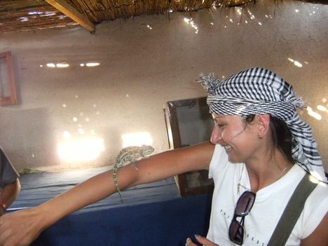 Egyiptom 2009 557