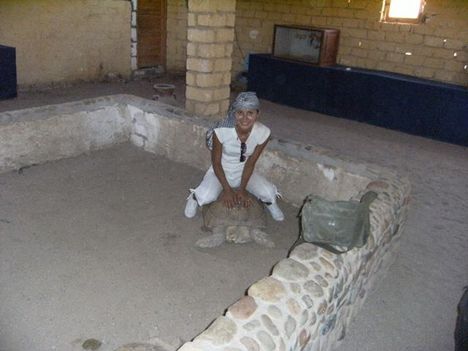 Egyiptom 2009 584