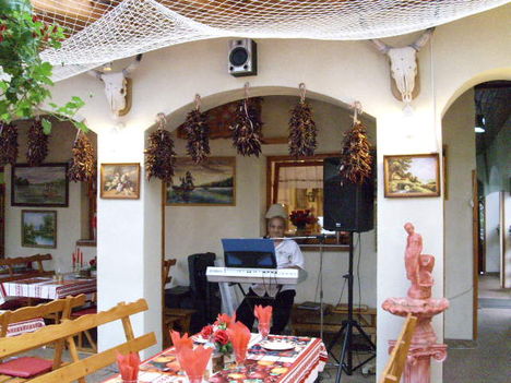 TERASZON
