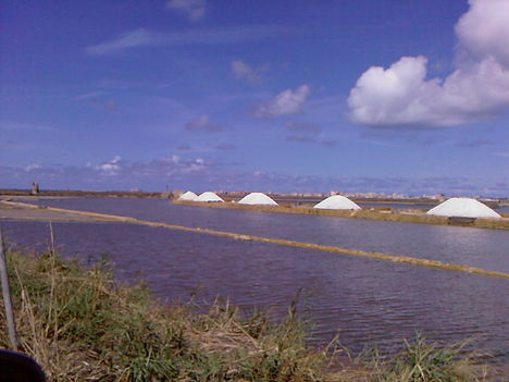 Saline