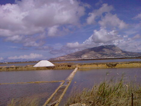 Saline