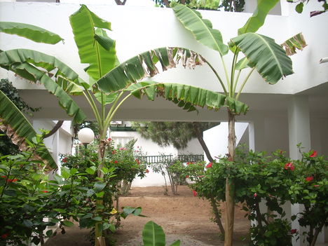 DSCN0204