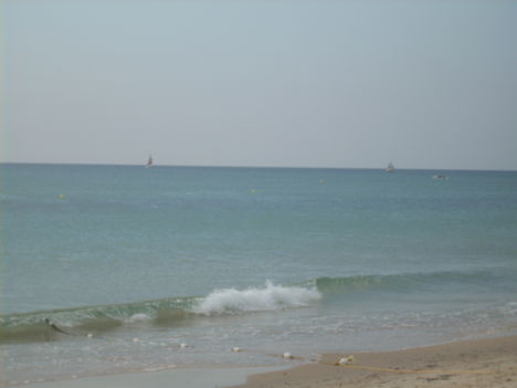 DSCN0233