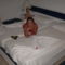DSCN0376