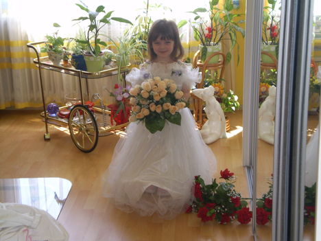 2009 július 033