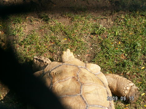 PICT1068