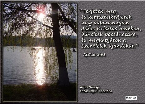 Térjetek meg