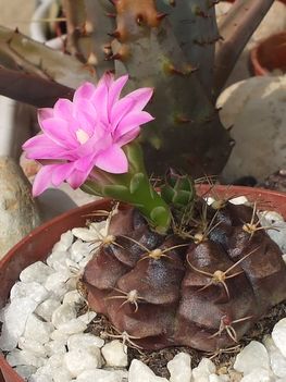 DSCF2181