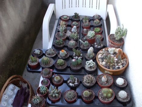 DSCF2276