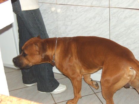 Bruce