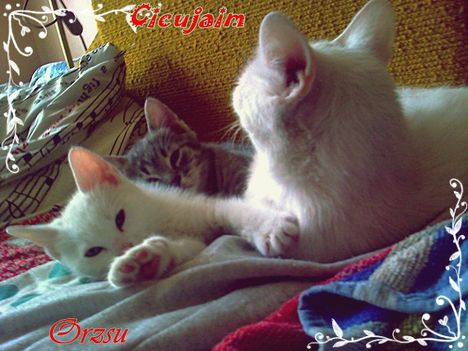 de lusta vagy mama!...