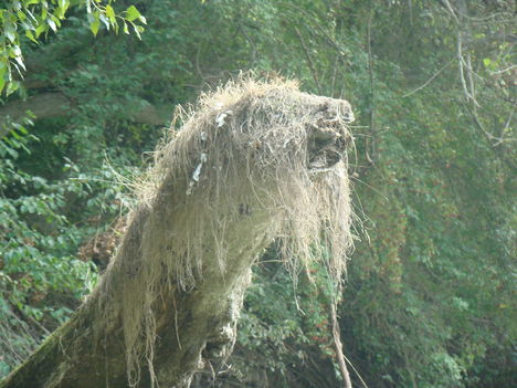 DSC00124