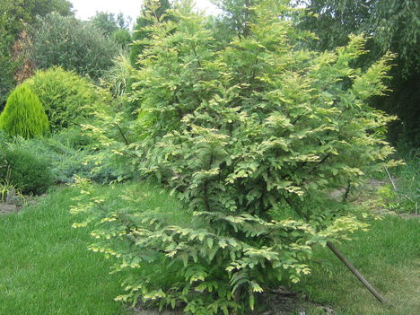 képek 070