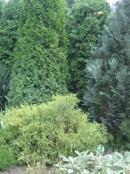 képek 071