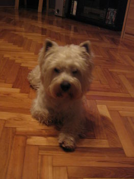 Marcipán 