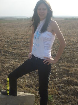 meginn