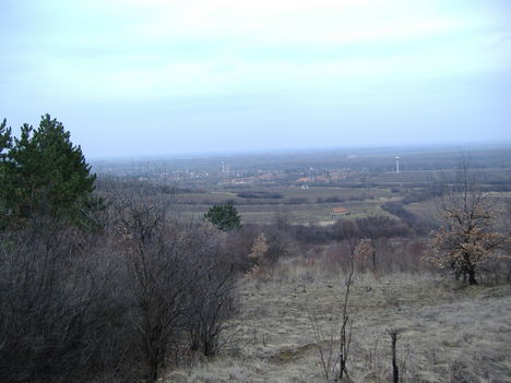 2008 Iskola fotó 044