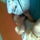 Timyke&Babuka