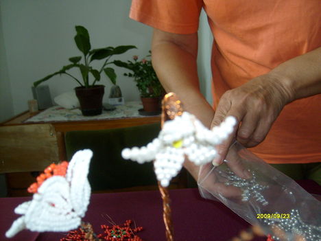 hóvirág