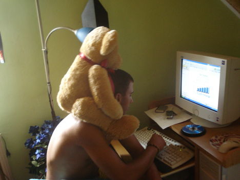 mackó lackó