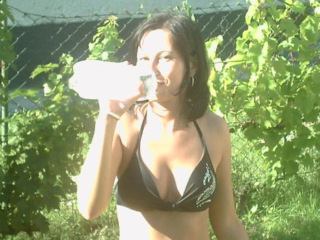 mikor mit