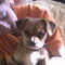 Fanny