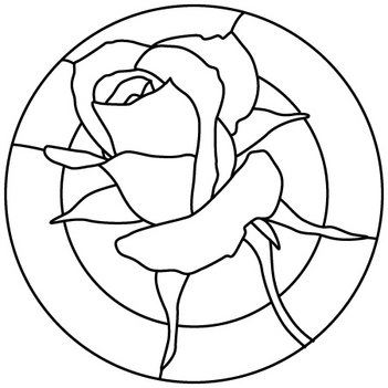 Sápadt rózsa