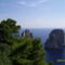 Capri örzői