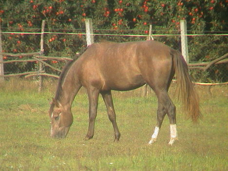 DSC00044