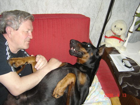 Cookie és papa