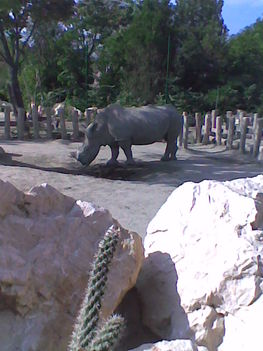 Kép0043
