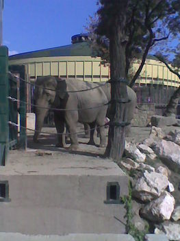 Kép0046