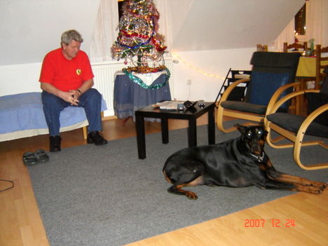 Pihenő