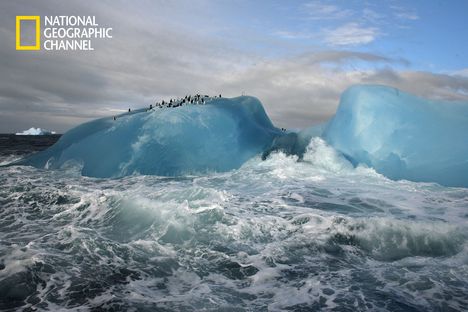 Iceberg with penguins